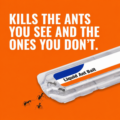 Ant Killer Bait Stations T300 - Liquid Bait to Eliminate Ants - Bait System - 6 Count Stations for Effective Indoor Ant Control