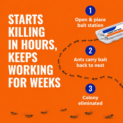 Ant Killer Bait Stations T300 - Liquid Bait to Eliminate Ants - Bait System - 6 Count Stations for Effective Indoor Ant Control