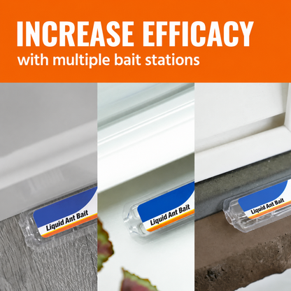 Ant Killer Bait Stations T300 - Liquid Bait to Eliminate Ants - Bait System - 6 Count Stations for Effective Indoor Ant Control